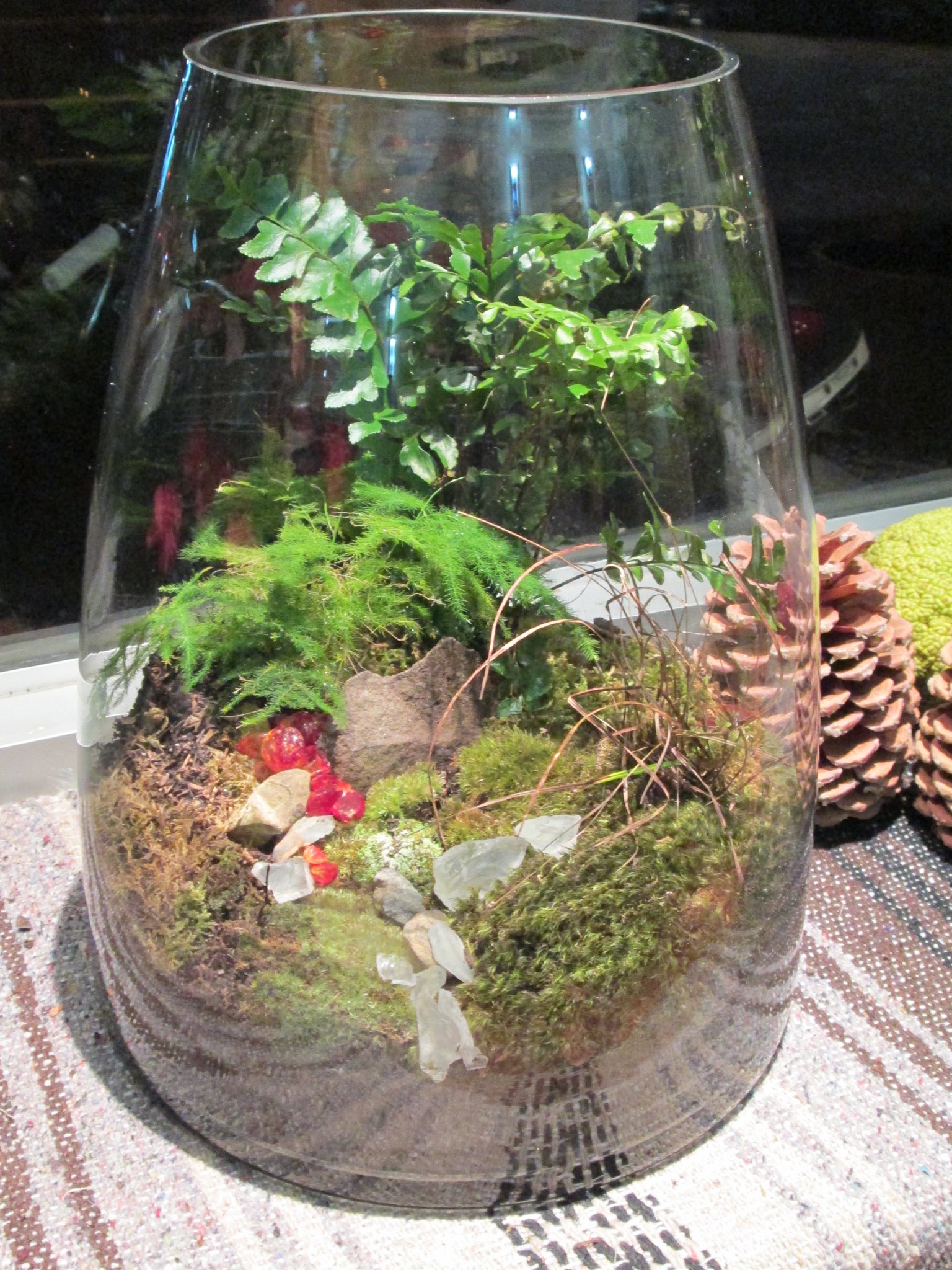 tall plants for terrarium Tall Terrarium – Chrysanthemum Rare Tea & Flowers