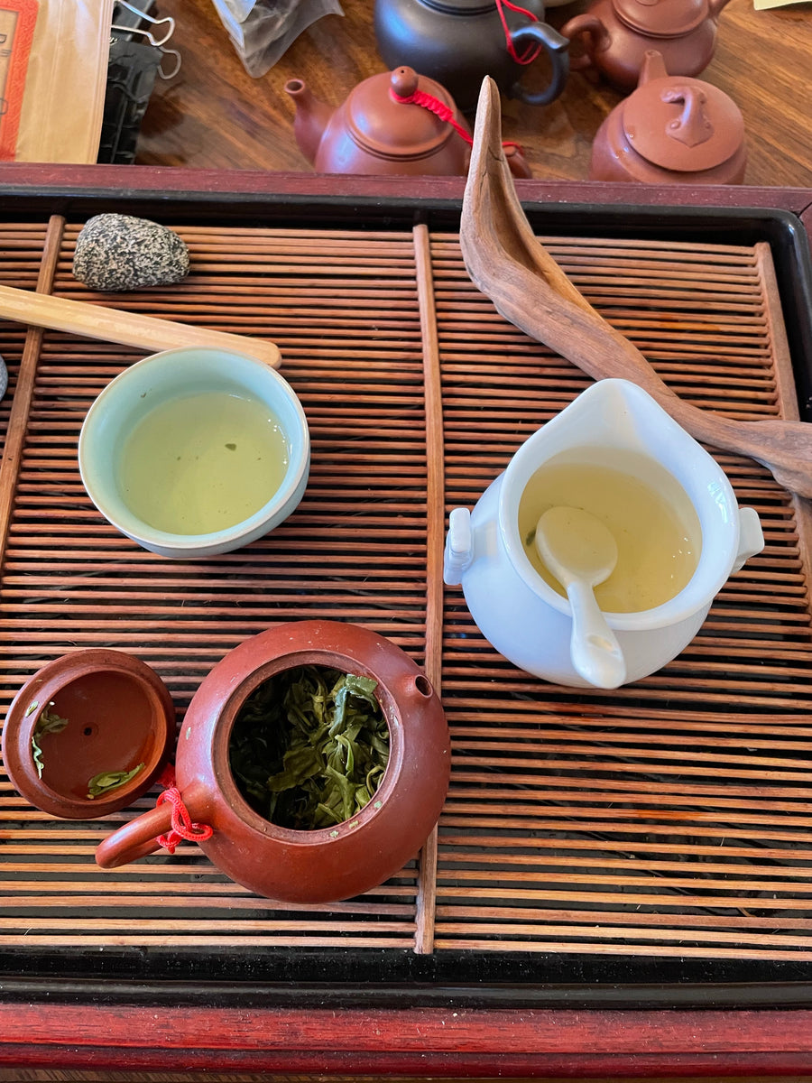 Green Spring Snail – Chrysanthemum Rare Tea & Flowers